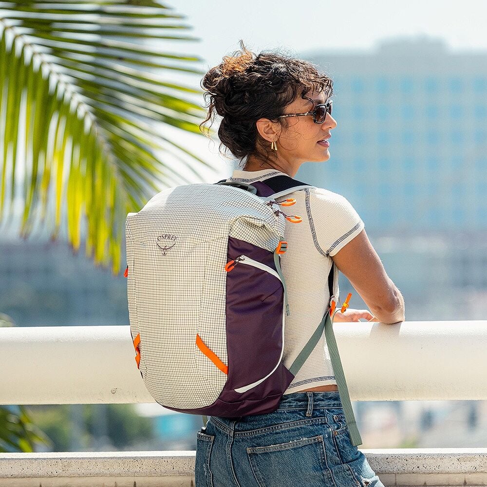 Osprey Transporter™ Zinch 22L