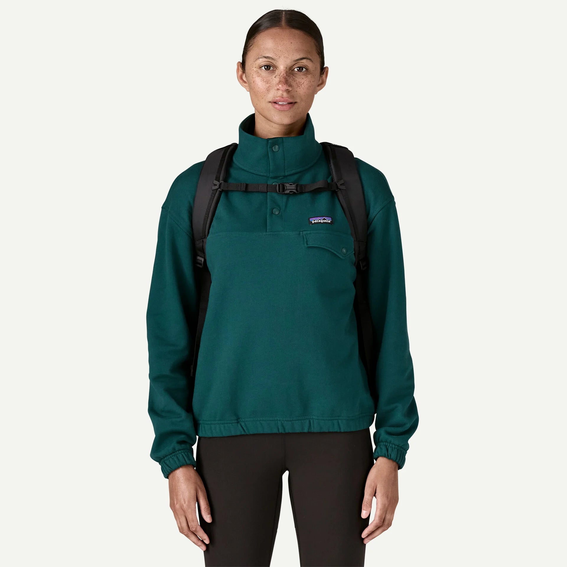 Patagonia Atom Daypack 22L