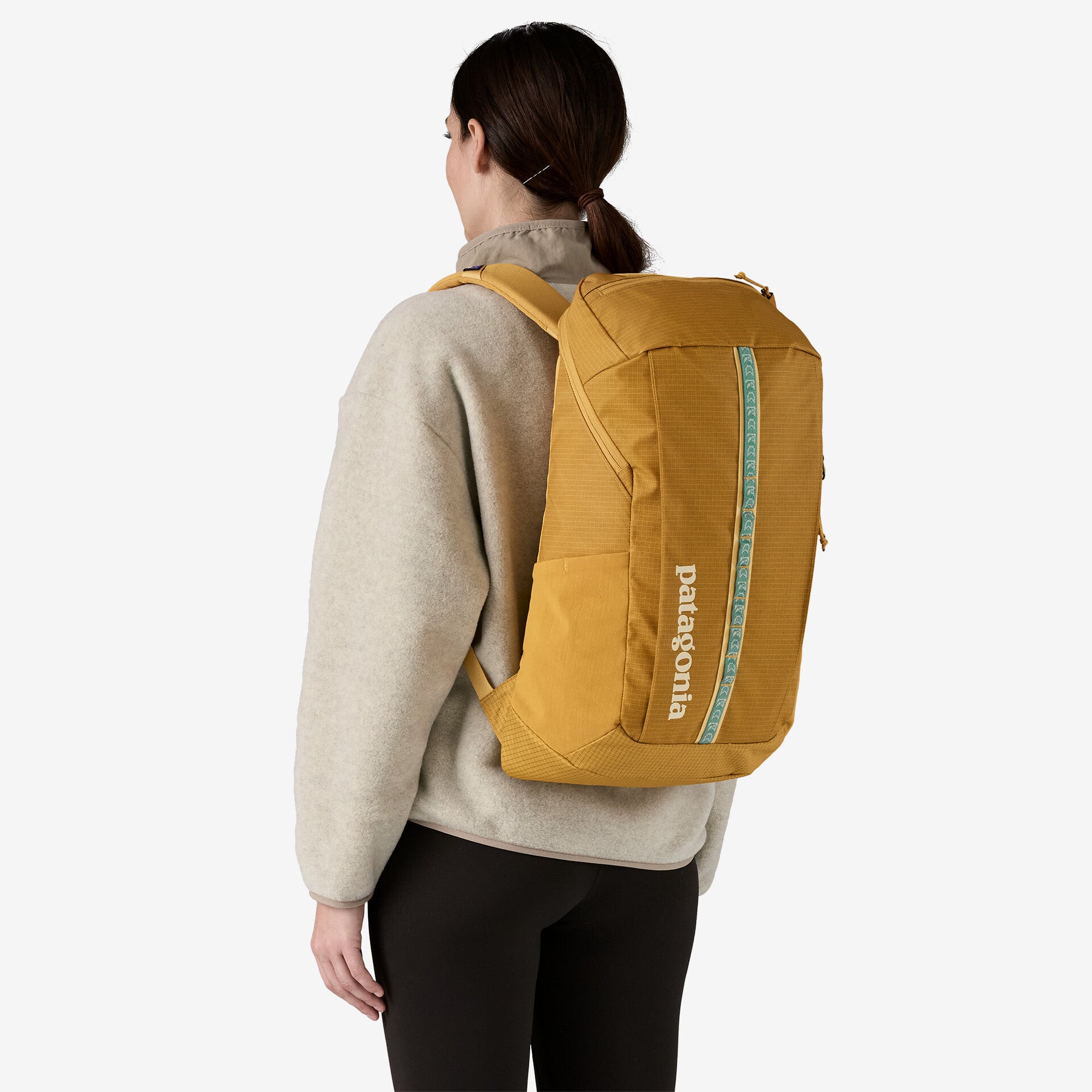 Patagonia Black Hole Pack 25L New Version