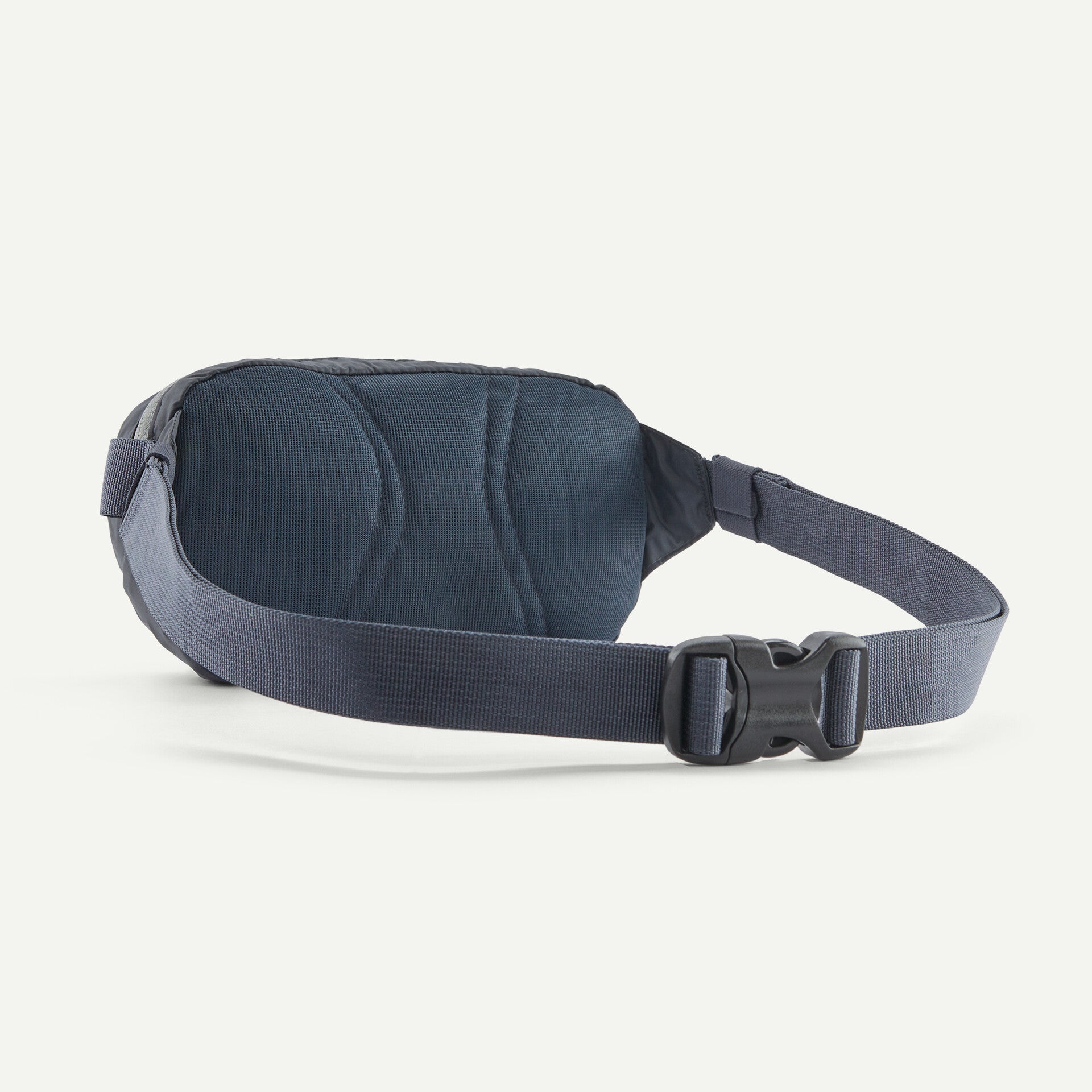 Patagonia Terravia Mini Hip 1L