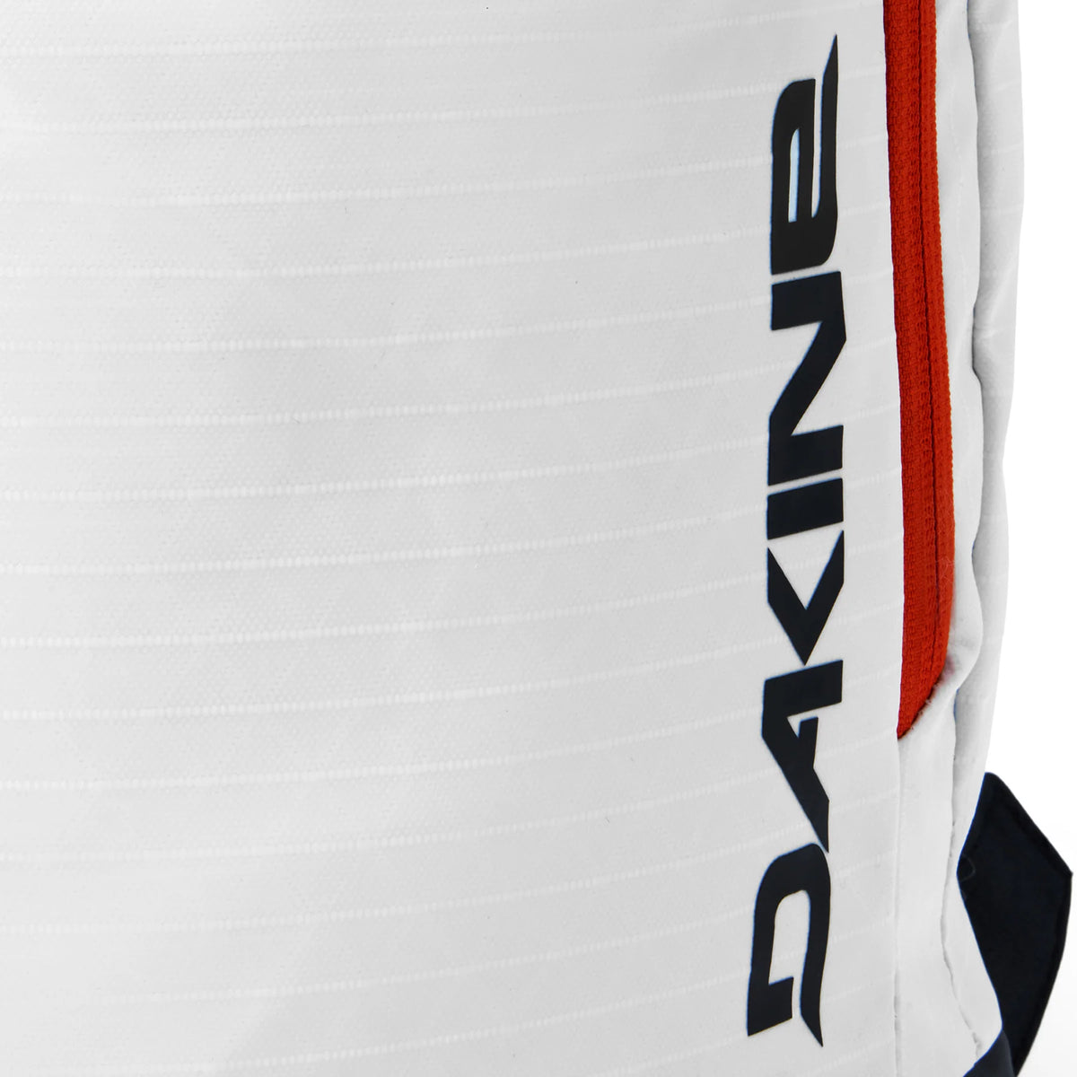 Dakine Heli Pro 2.0