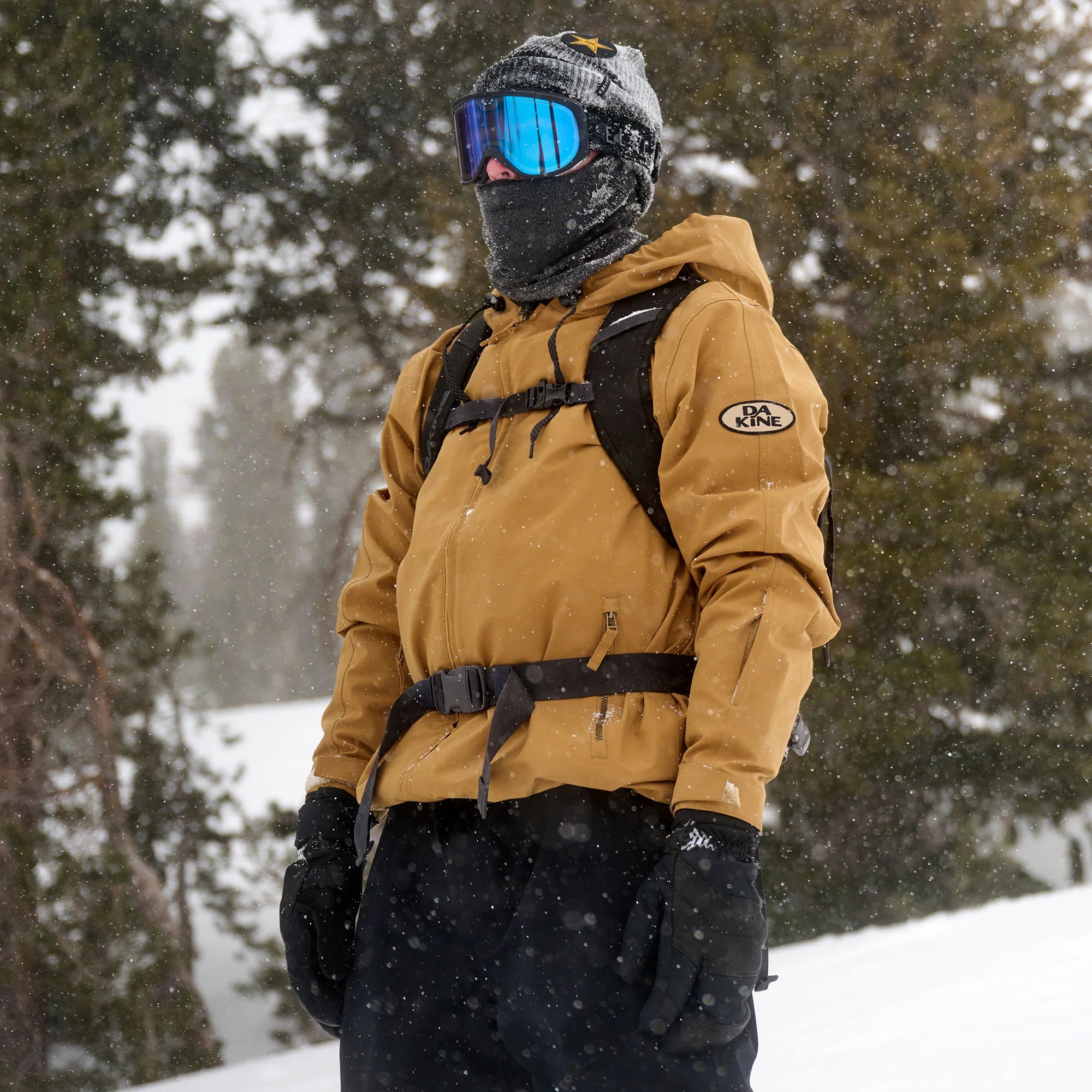 Dakine Heli Pro 20L - backpack