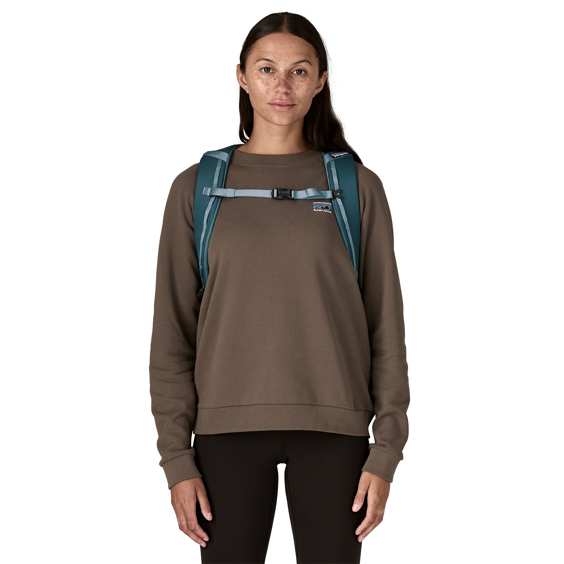 Patagonia Black Hole Pack 25L New Version