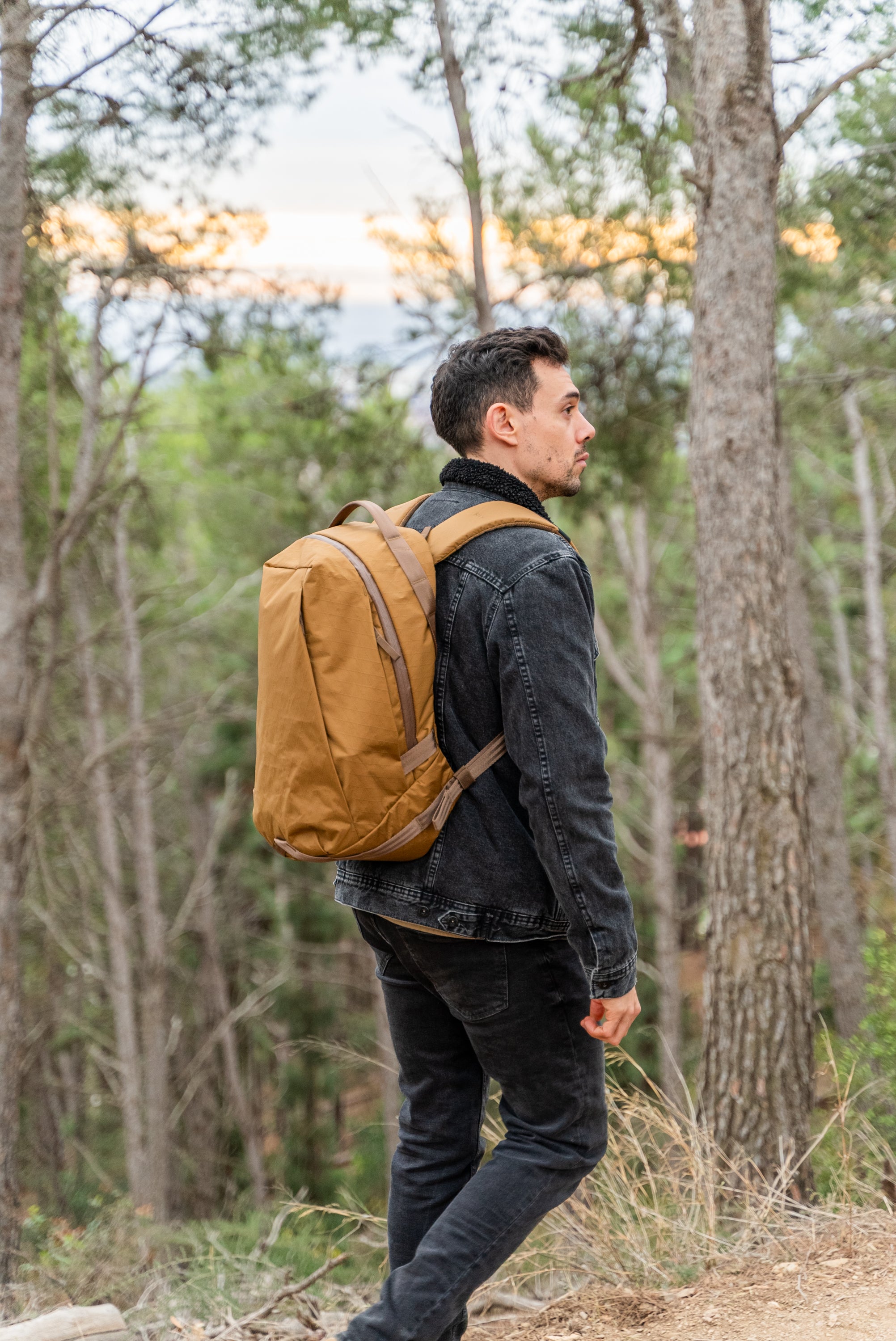 Able Carry Daily Plus 21L