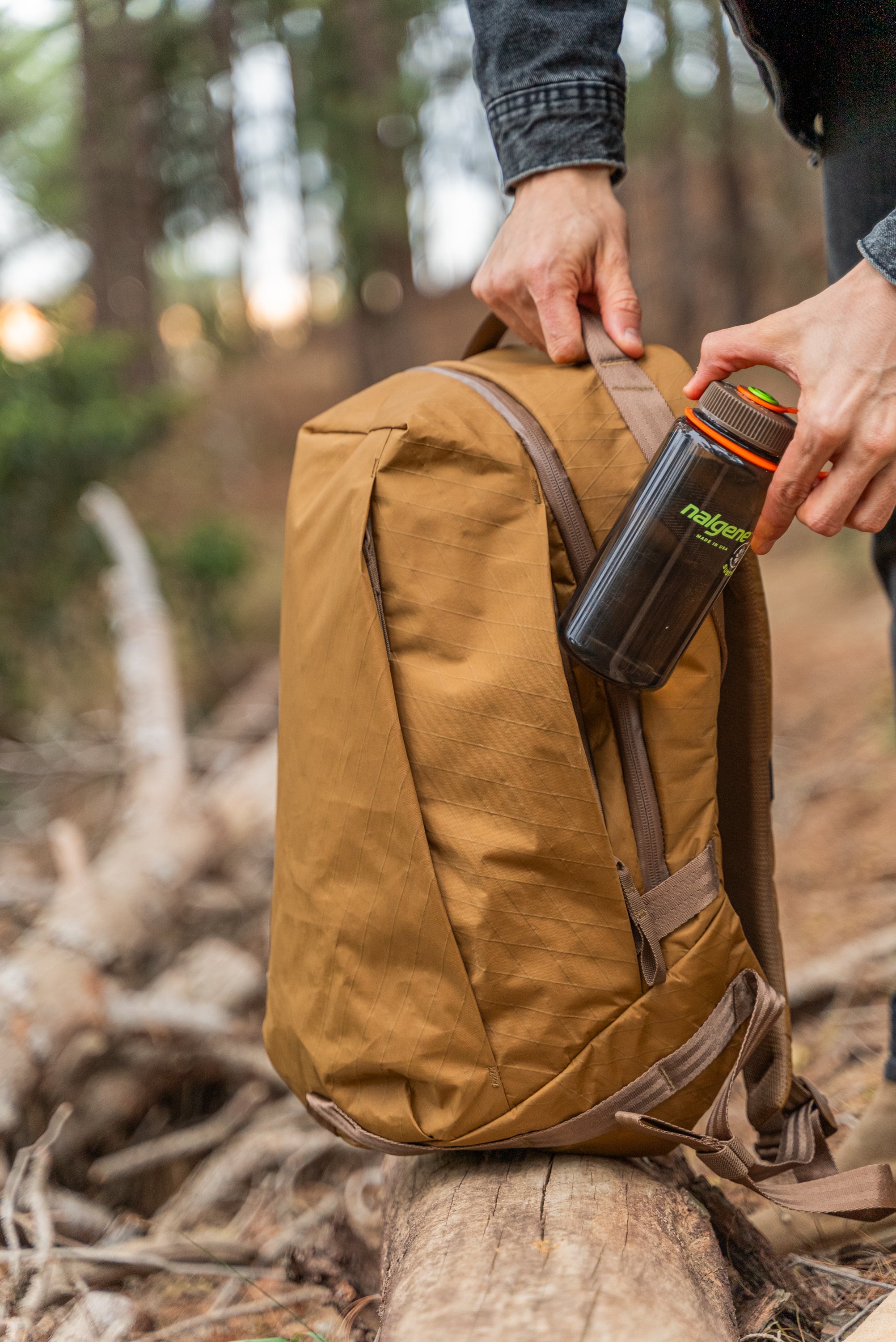 Able Carry Daily Plus 21L