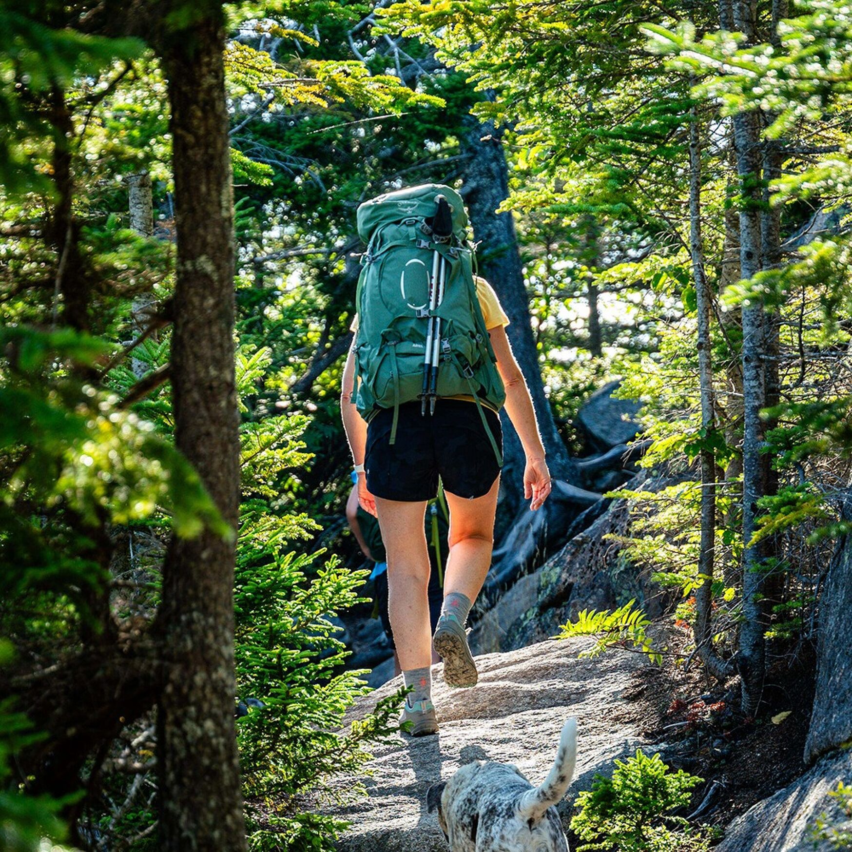 Osprey Ariel 55L WXS/S