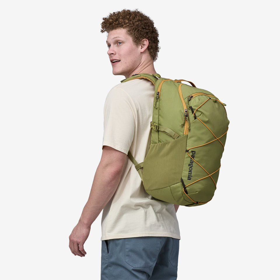 Patagonia New Refugio Pack 30L