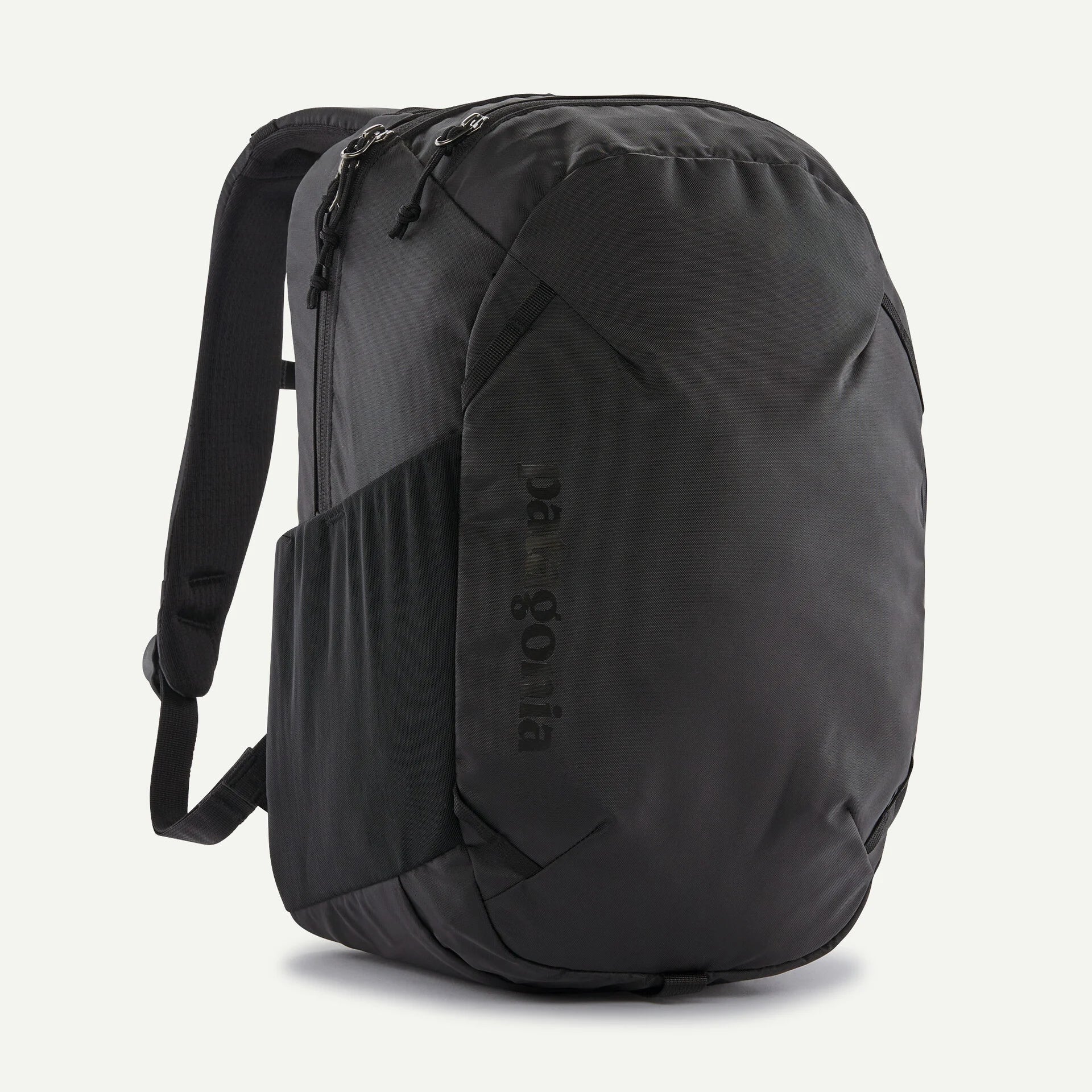 Patagonia Daypack 22L