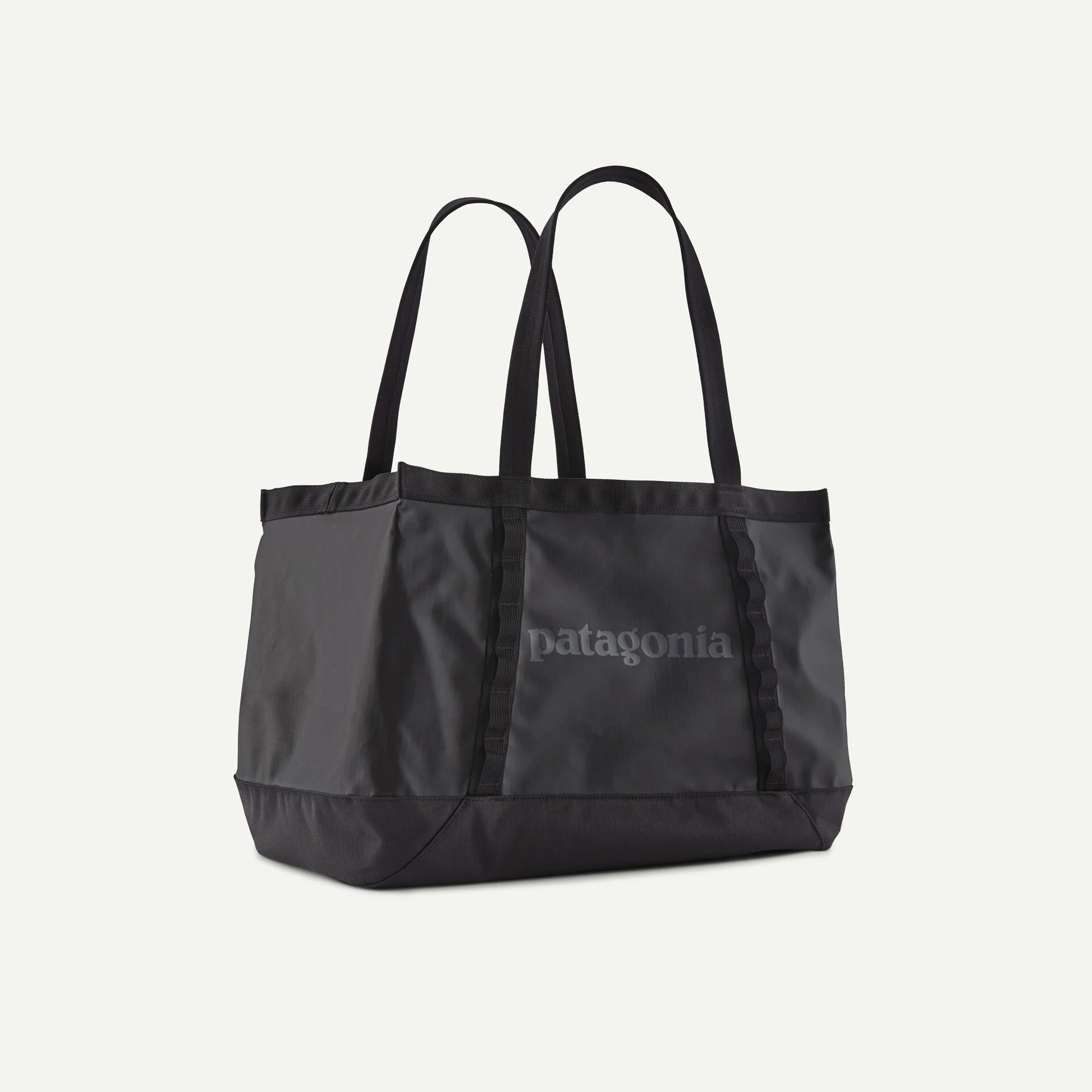 Patagonia Black Hole Tote 31L