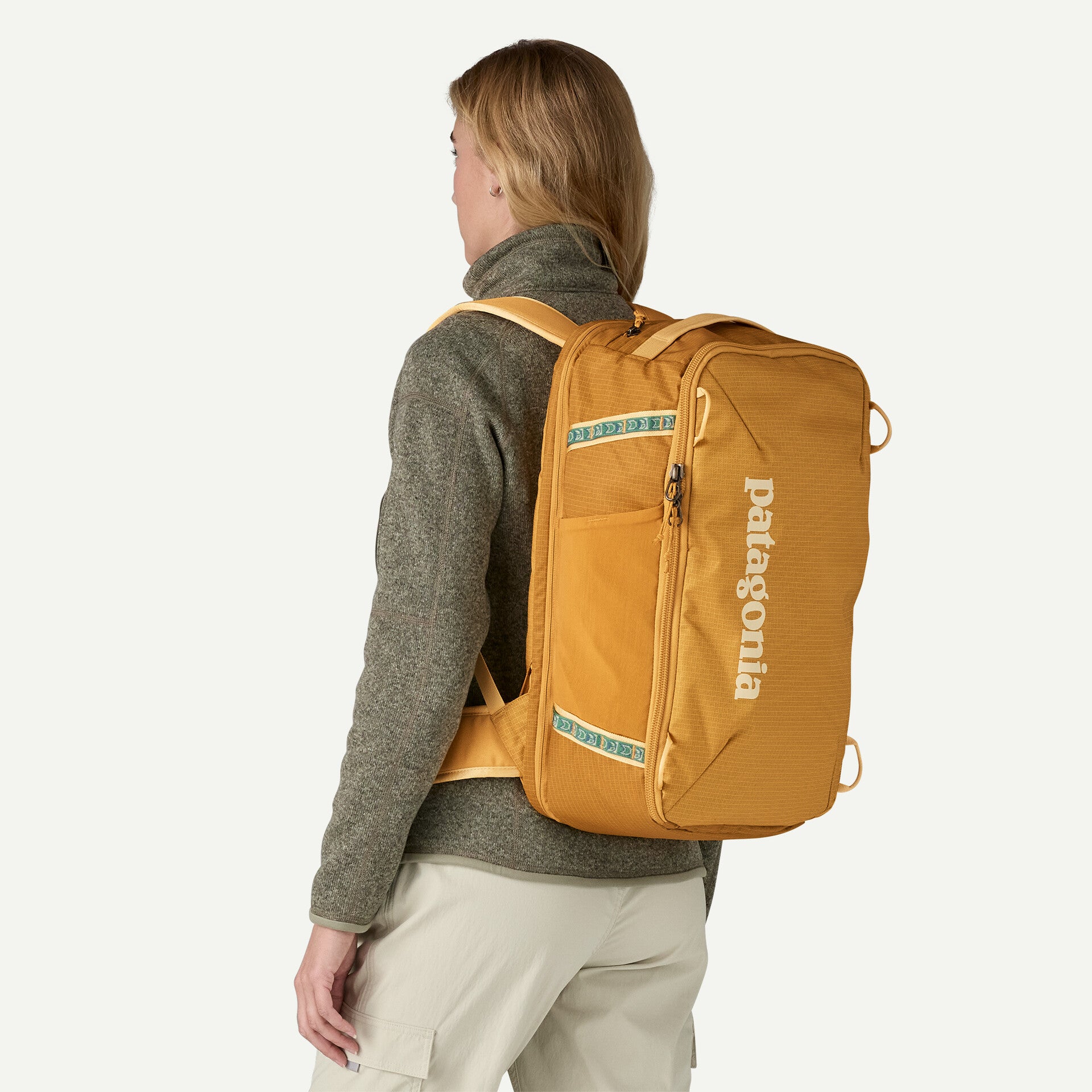 Patagonia Black Hole Mini MLC 26L