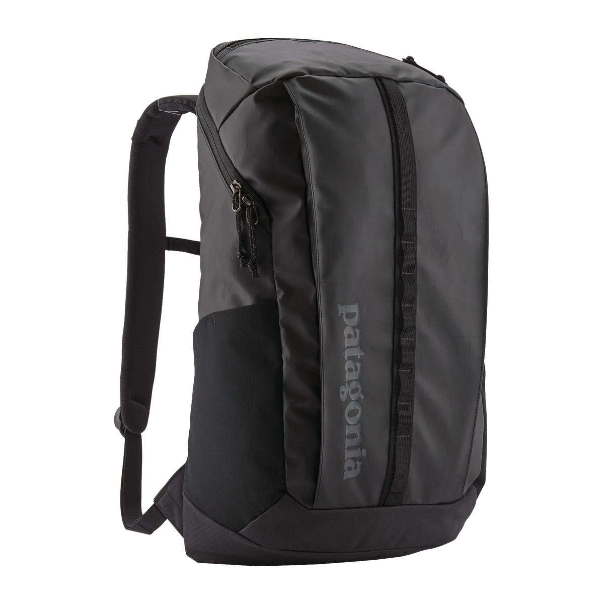 【正規品】PATAGONIA Blackhole Backpack 25L patagonia-black-hole-pack-25-