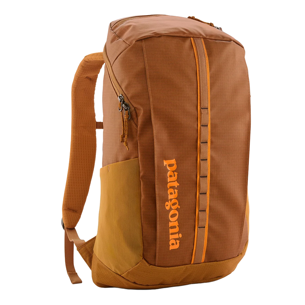 Patagonia Black Hole Pack 25L