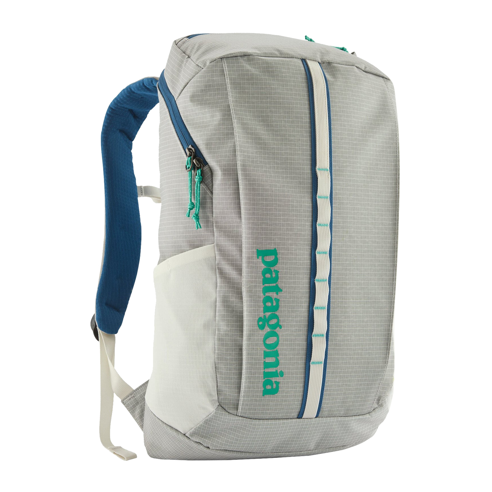 Patagonia Black Hole Pack 25L