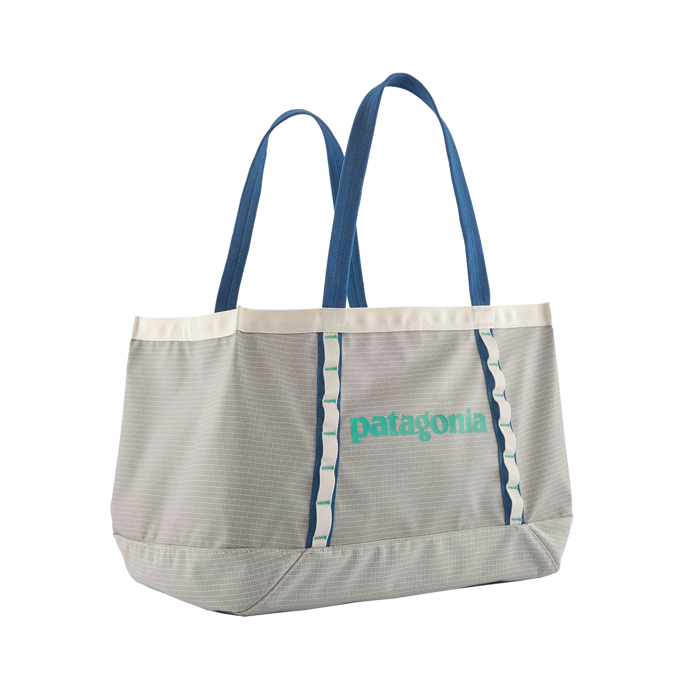 Patagonia Black Hole Tote 31L