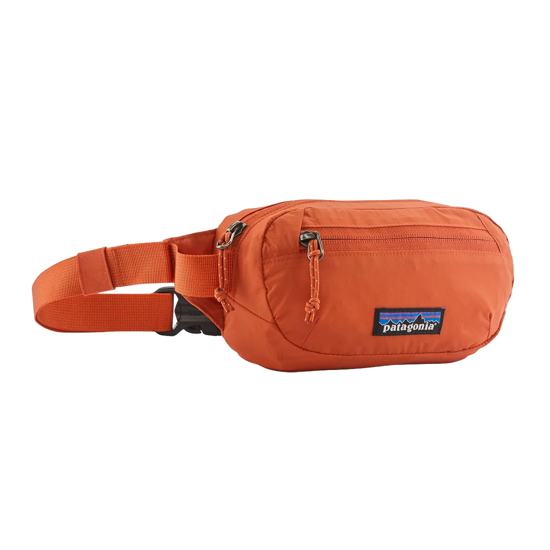Patagonia Terravia Mini Hip 1L